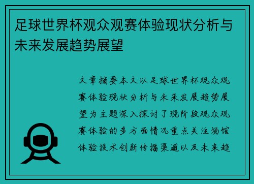 足球世界杯观众观赛体验现状分析与未来发展趋势展望
